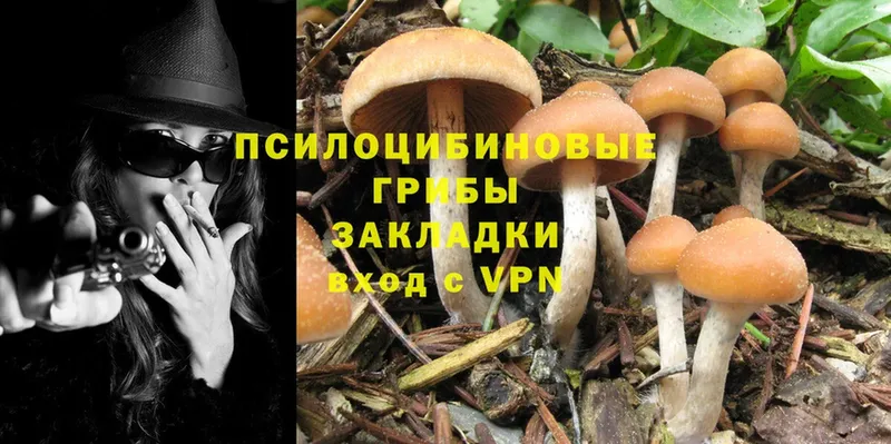 цены наркотик  Фокино  Галлюциногенные грибы Magic Shrooms 